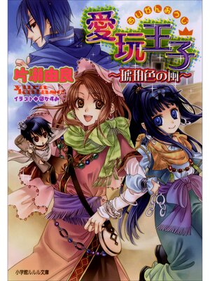 cover image of 愛玩王子4　～琥珀色の風～